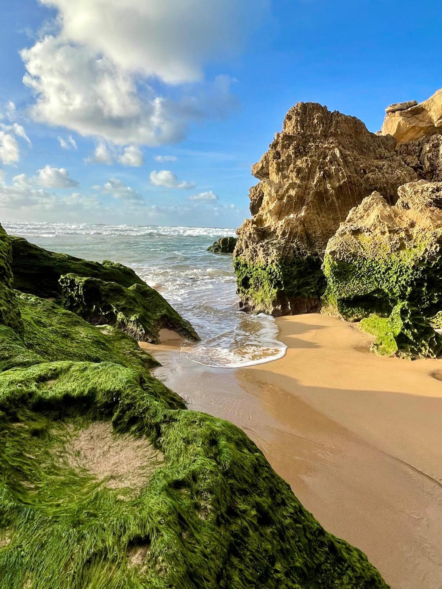 California Dream Inn Aljezur Zewnętrze zdjęcie