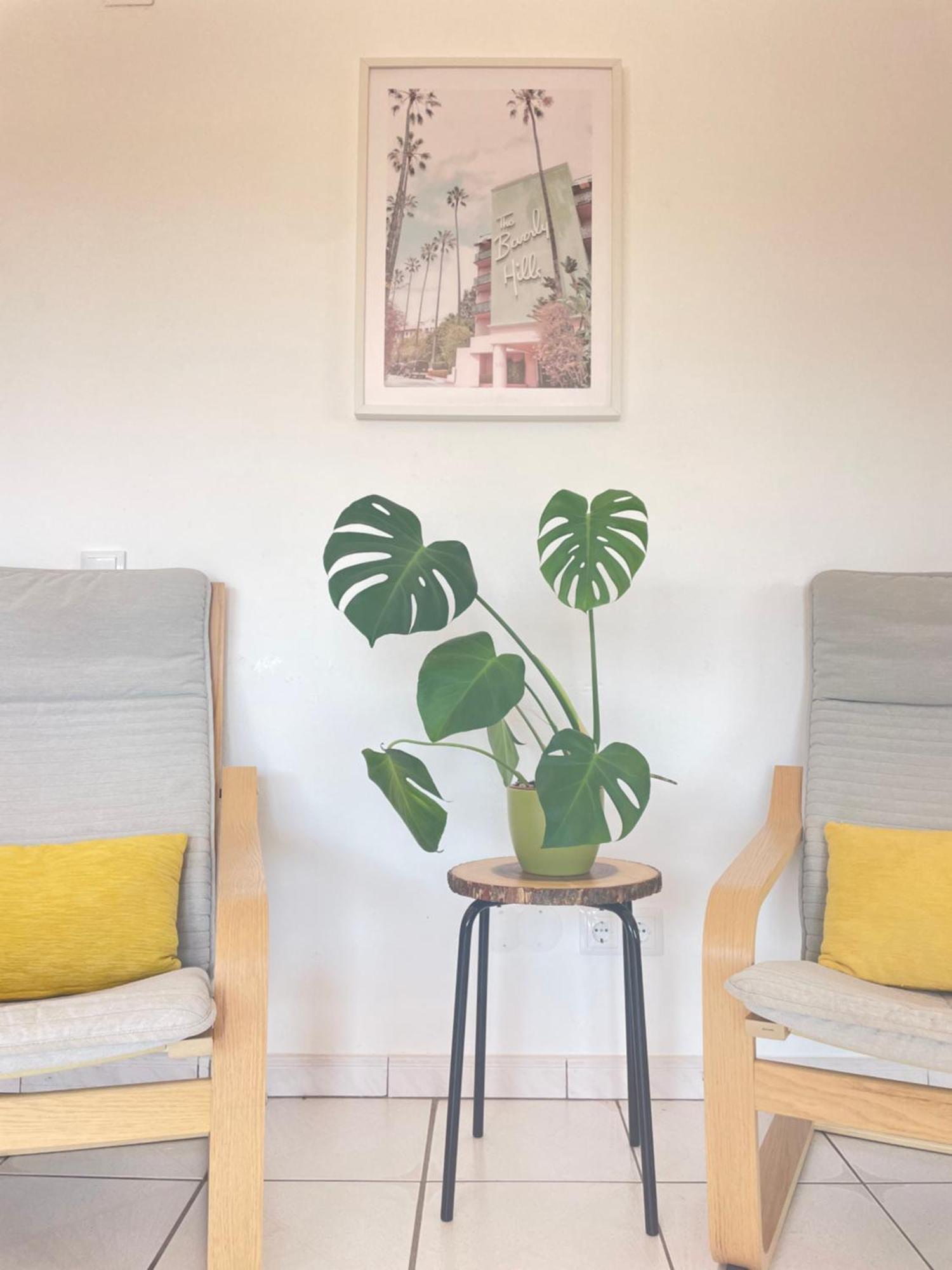 California Dream Inn Aljezur Zewnętrze zdjęcie
