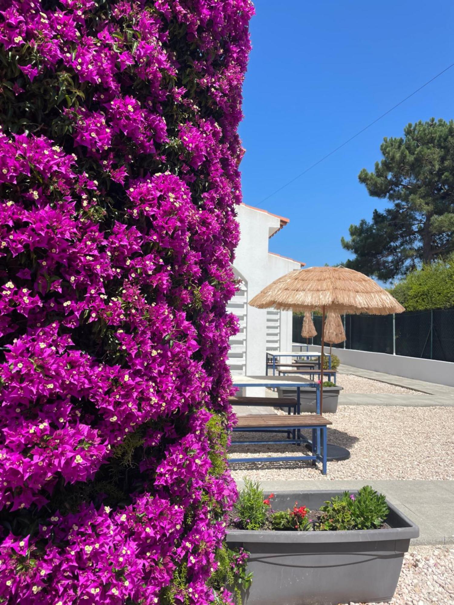 California Dream Inn Aljezur Zewnętrze zdjęcie